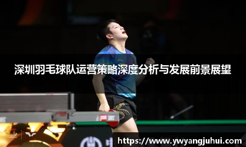 深圳羽毛球队运营策略深度分析与发展前景展望